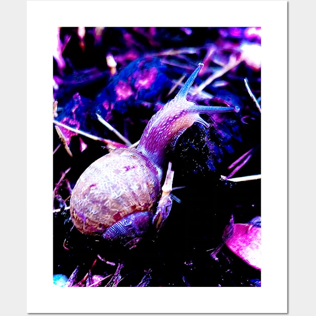Surreal Snail Ultraviolet Wall Art by The Bigger Boat